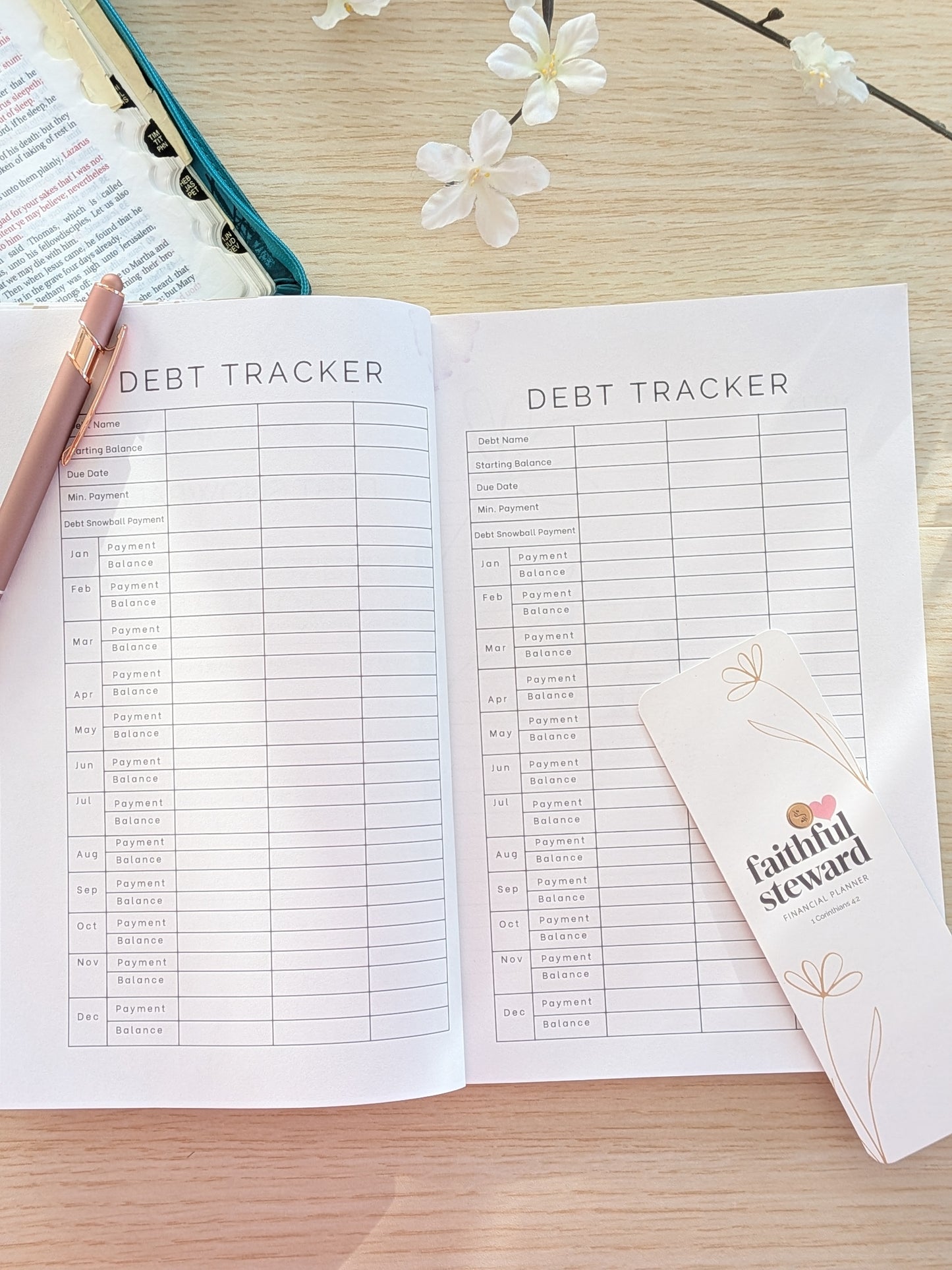 Faithful Steward Financial Planner