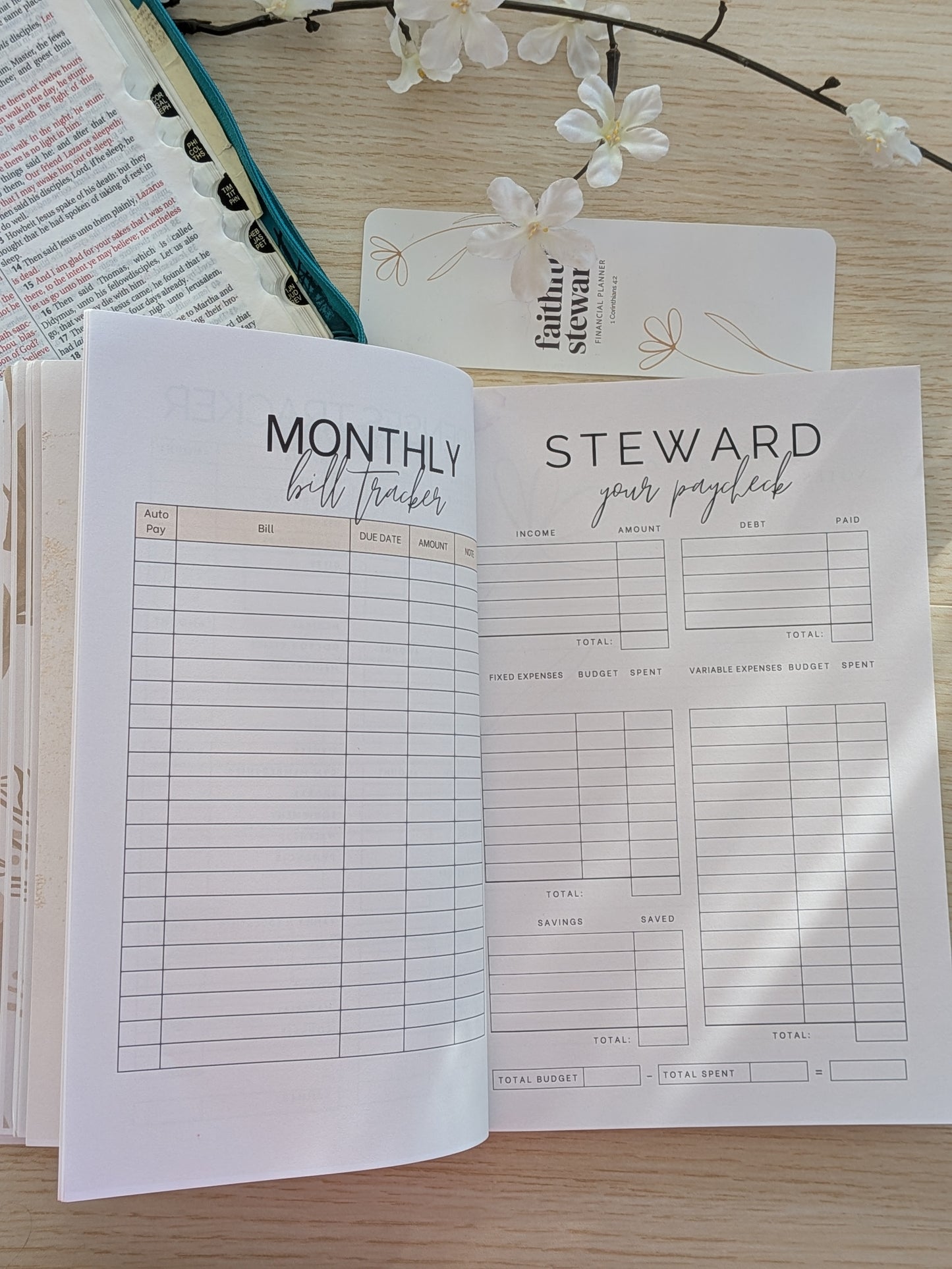 Faithful Steward Financial Planner